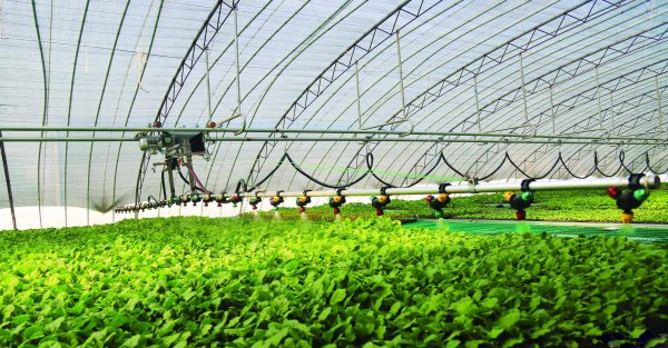 Smart Agriculture Cloud Platform