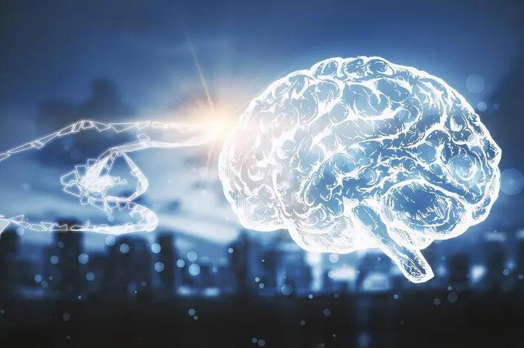 Smart City Brain